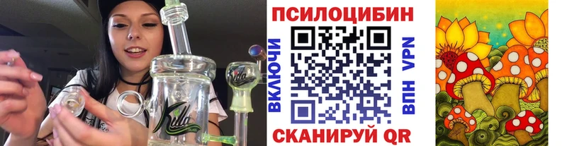 Галлюциногенные грибы Cubensis  закладки  Волгоград 